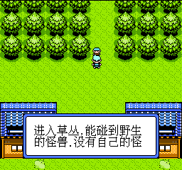 神奇宝贝 (简) 截图